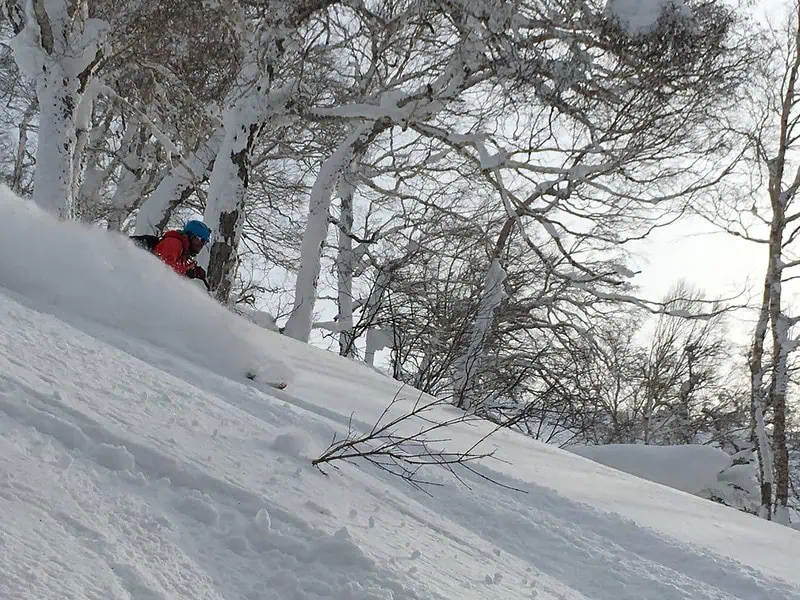 Japan Powder Skiing