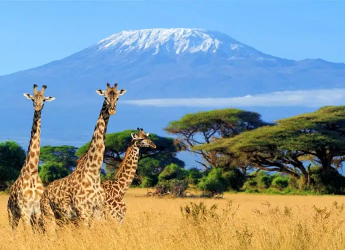 Kilimanjaro Expedition